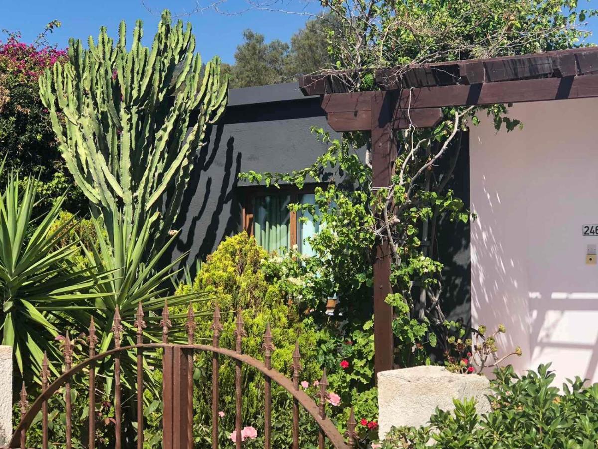 Spiti Damianos Villa Beachfront Pomos Exterior photo
